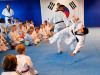 Grorud: Taekwondo demo